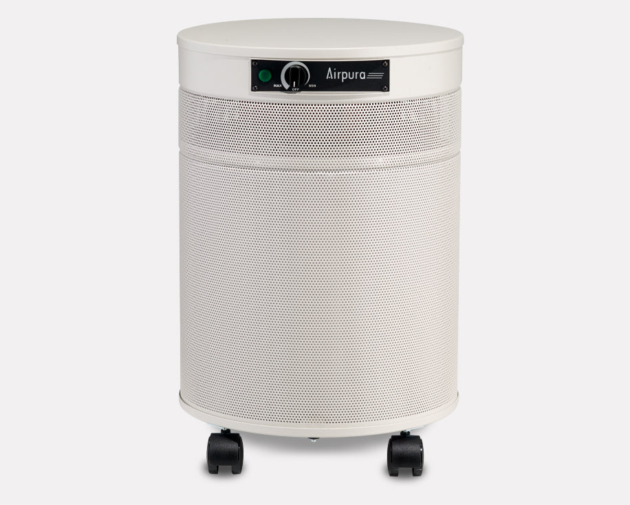 Airpura C600 DLX: Chemical and Gas Abatement Plus Air Purifier