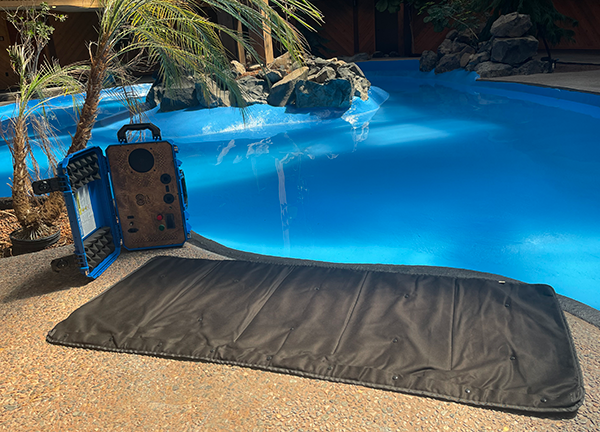 Sentient Element Classic: Professional-Grade Full BodyCharger System