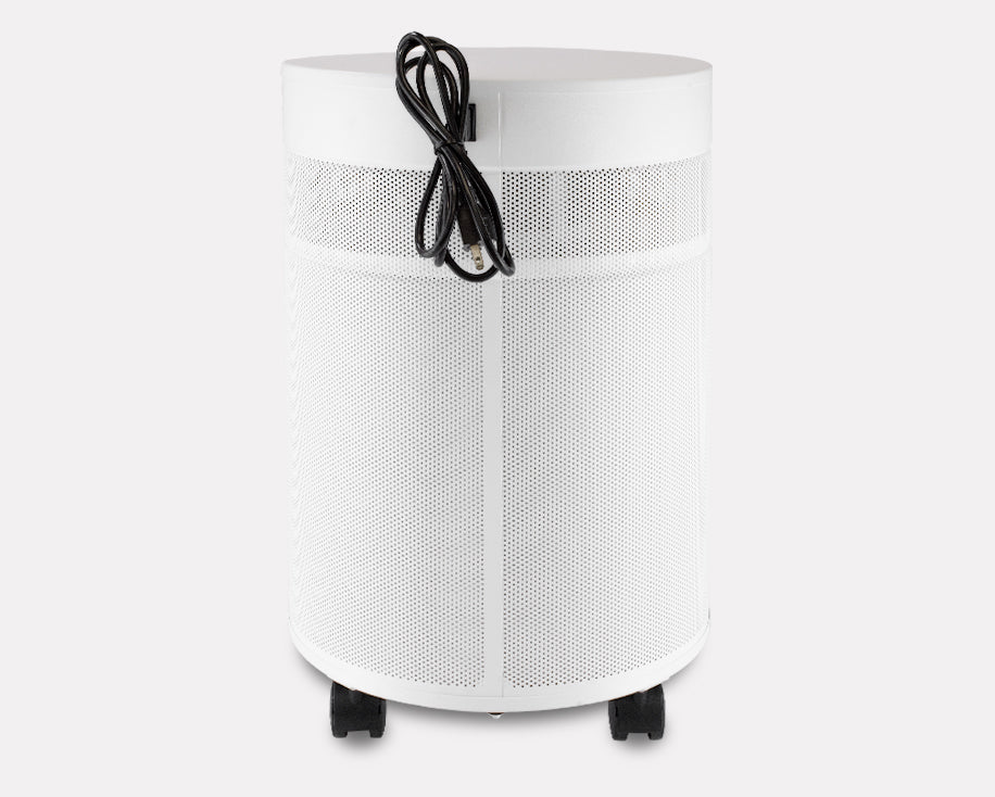 Airpura G700: Specialty Odor-Free Carbon for Chemical Sensitivities